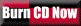 TRY IT NOW! This button is linked to the 1 MB QUICKIE CD, a fast downloading, fast burning sample CD.